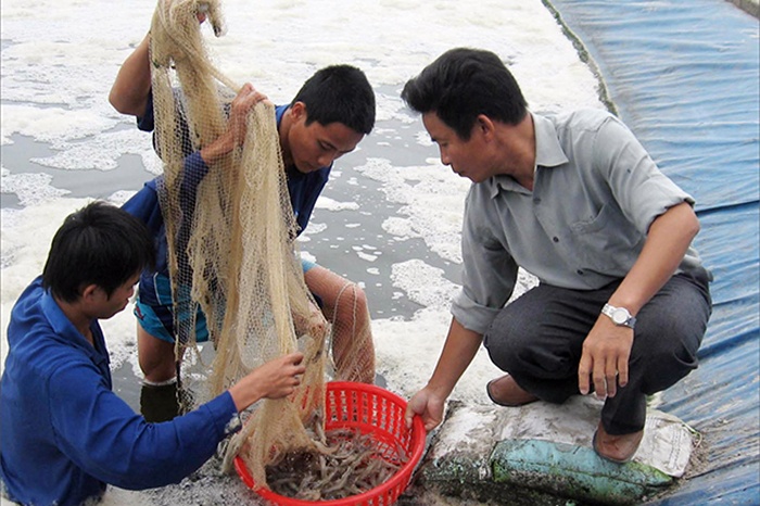 Thời điểm này, người nuôi thủy sản tại Hưng Yên đang tập trung cao để thực hiện các biện pháp nhằm bảo đảm an toàn cho diện tích nuôi thủy sản và các lồng cá trên sông.